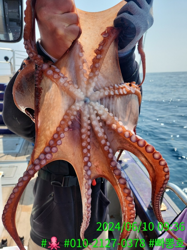 빠뽕호의 조황일지 이미지 - 13