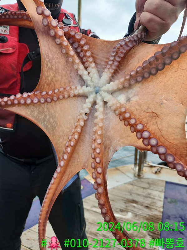 빠뽕호의 조황일지 이미지 - 10