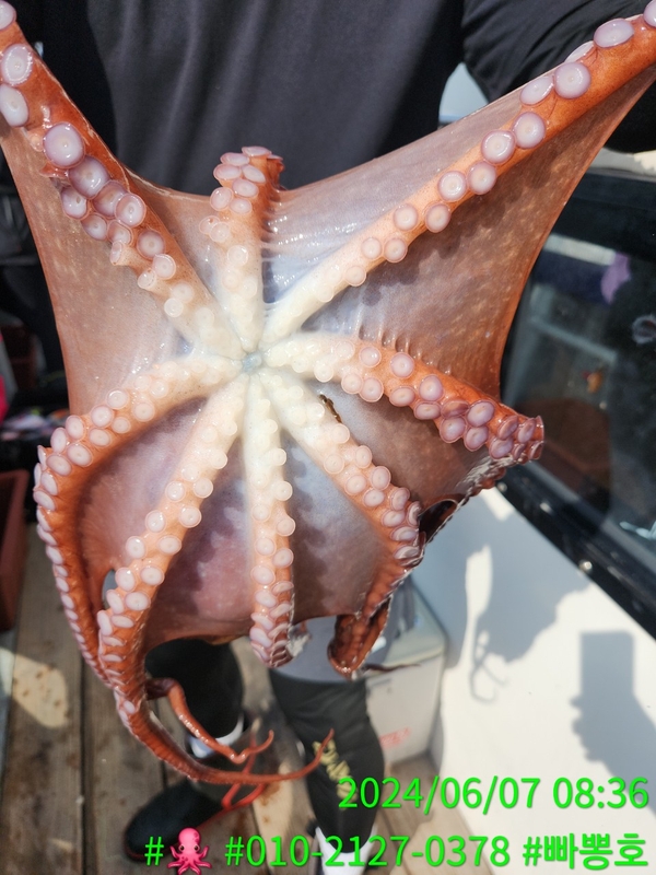 빠뽕호의 조황일지 이미지 - 14