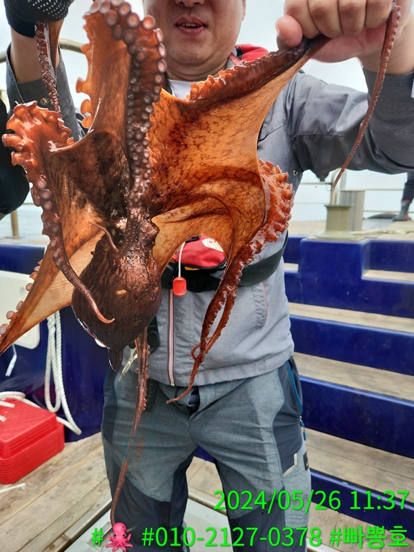 빠뽕호의 조황일지 이미지 - 2