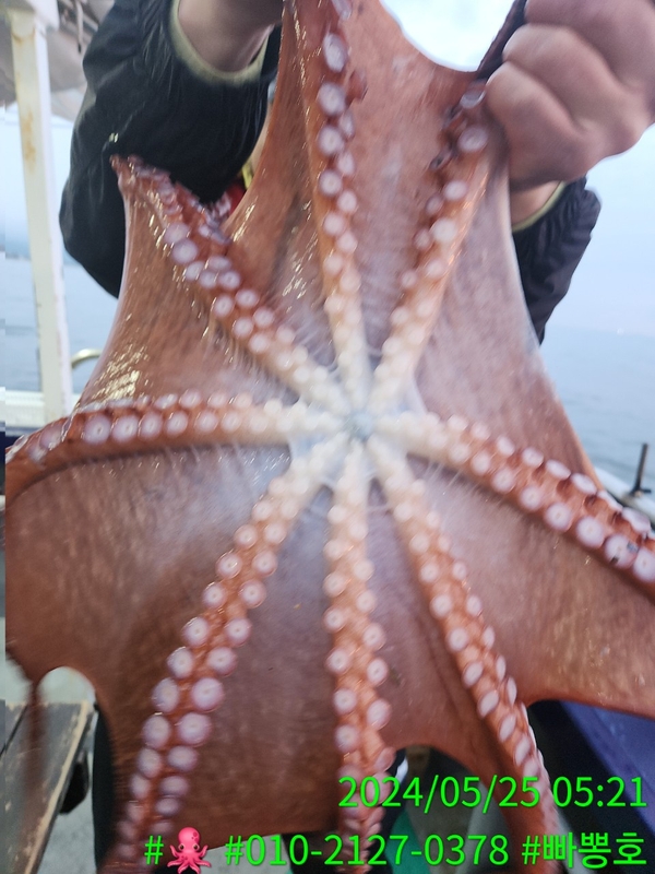 빠뽕호의 조황일지 이미지 - 9