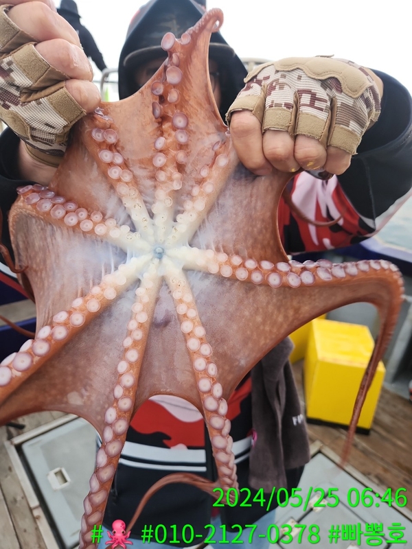 빠뽕호의 조황일지 이미지 - 5