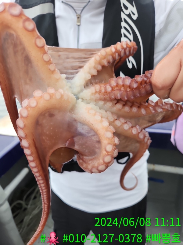 빠뽕호의 조황일지 이미지 - 7