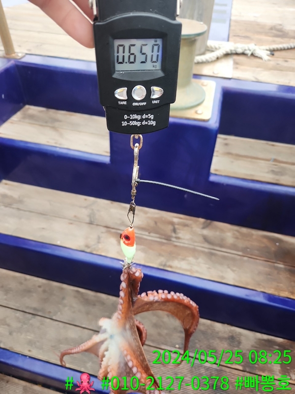 빠뽕호의 조황일지 이미지 - 11