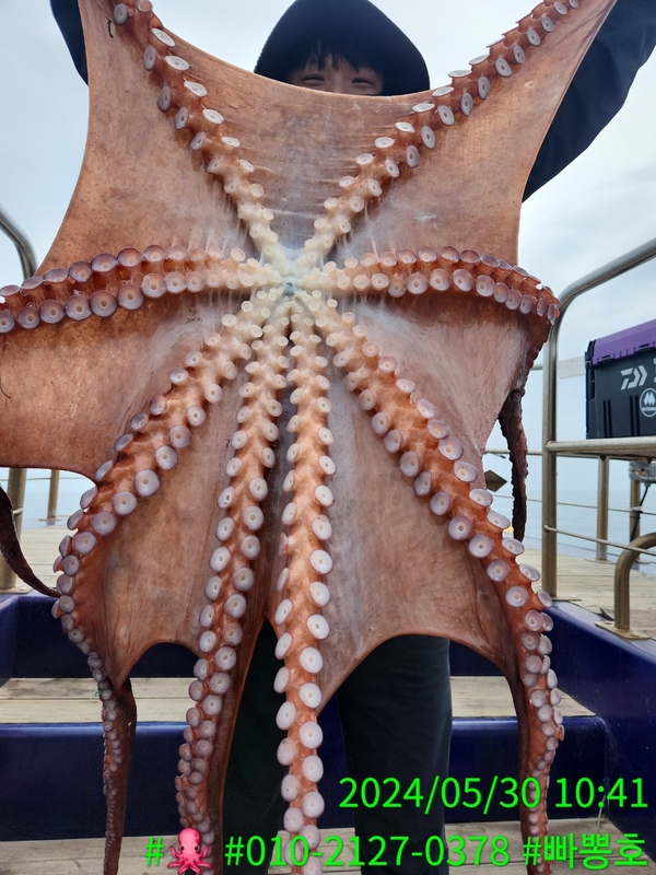 빠뽕호의 조황일지 이미지 - 0