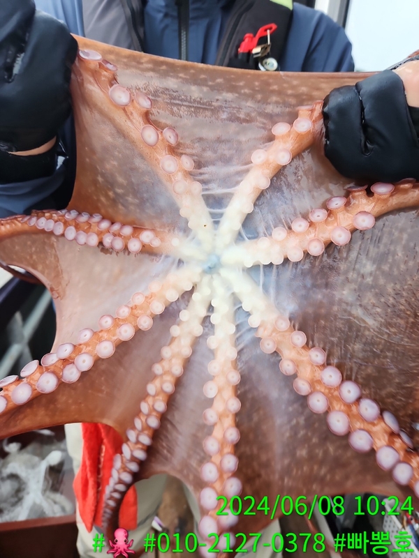 빠뽕호의 조황일지 이미지 - 1