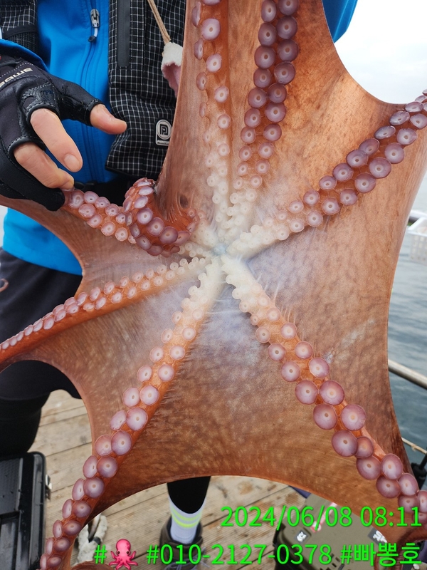 빠뽕호의 조황일지 이미지 - 5