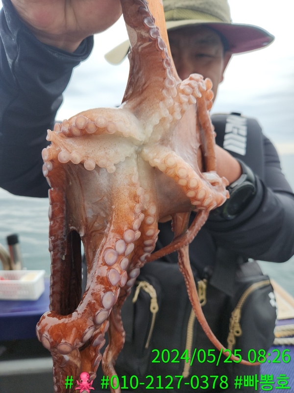 빠뽕호의 조황일지 이미지 - 3