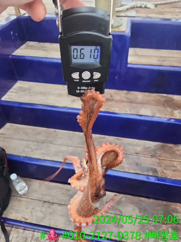 빠뽕호의 조황일지 이미지 - 12