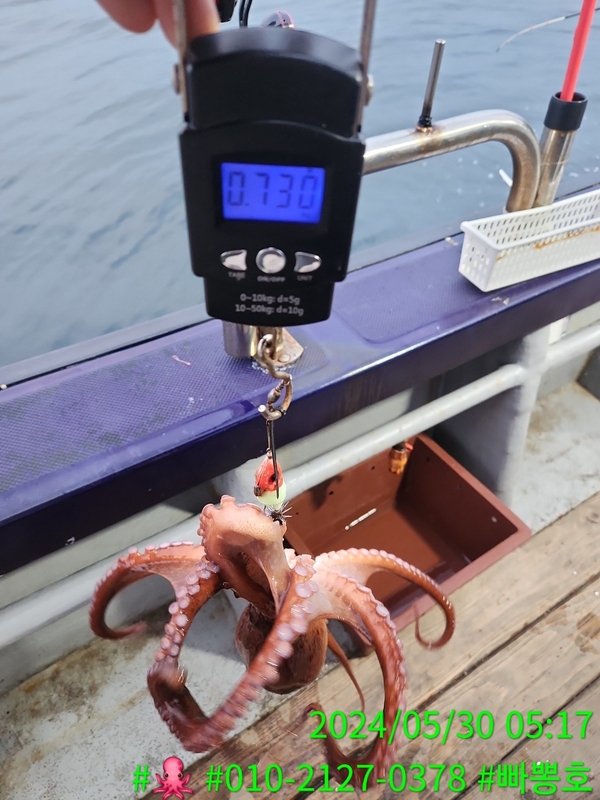 빠뽕호의 조황일지 이미지 - 15