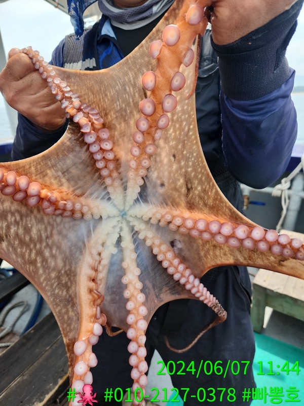 빠뽕호의 조황일지 이미지 - 5