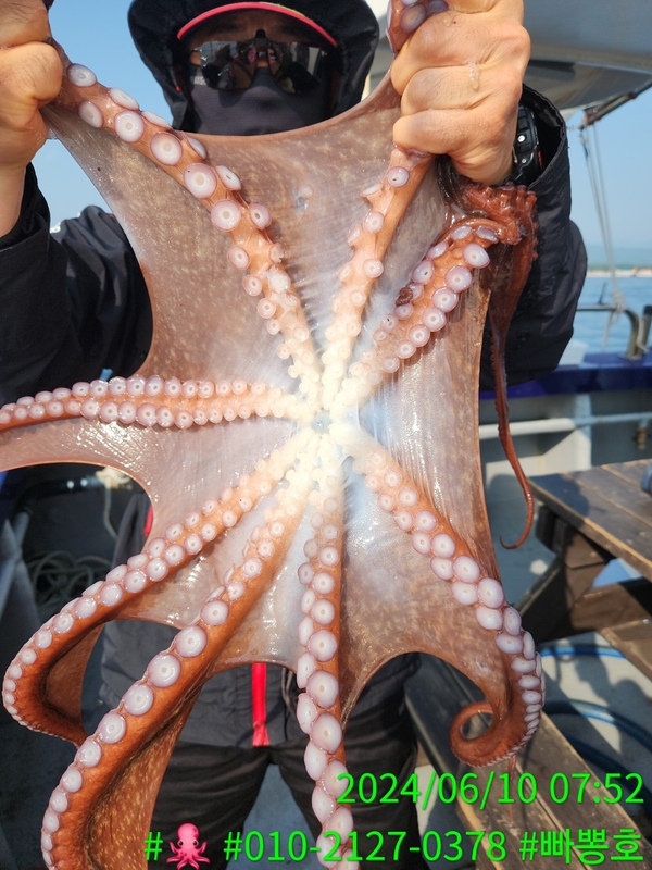 빠뽕호의 조황일지 이미지 - 0