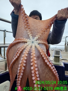 (5월 24일 금) 강릉피문어 조황 선상낚시로 잡은 물고기 조황