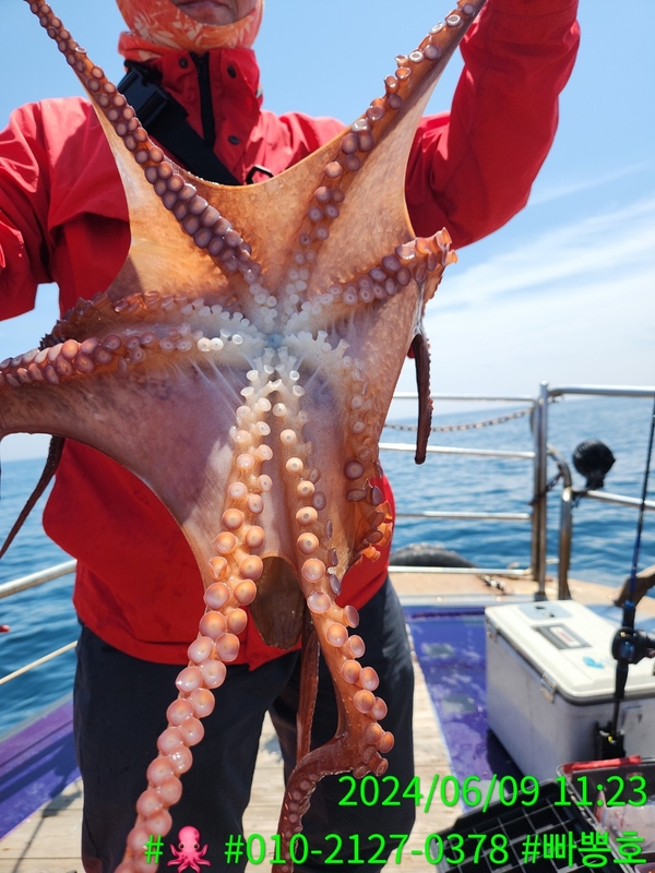 빠뽕호의 조황일지 이미지 - 1