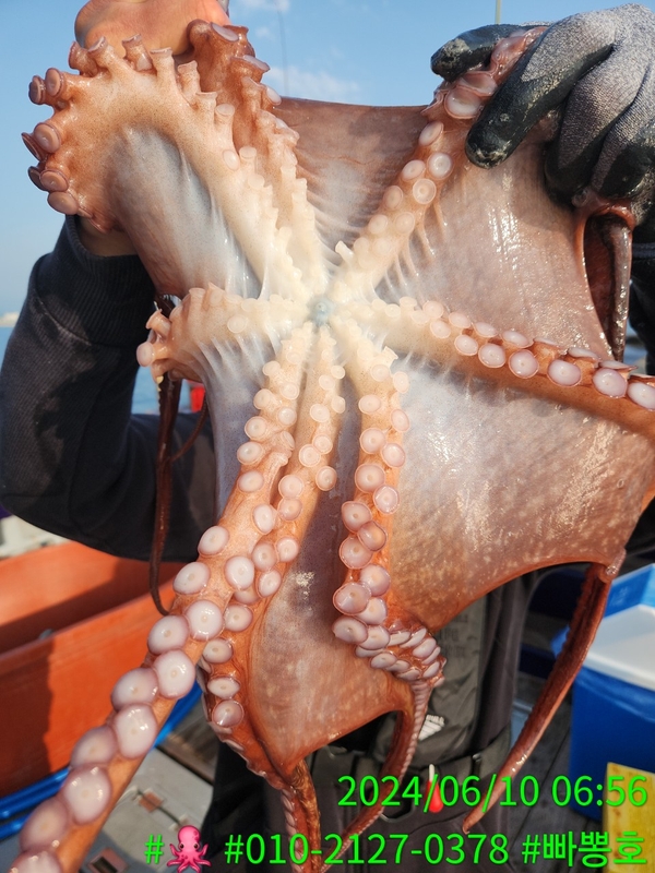 빠뽕호의 조황일지 이미지 - 6