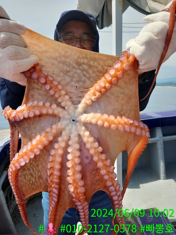 빠뽕호의 조황일지 이미지 - 6