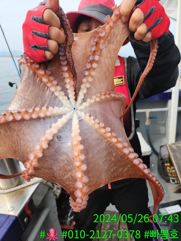 빠뽕호의 조황일지 이미지 - 7