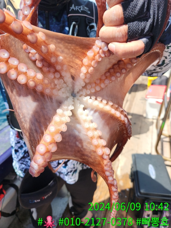 빠뽕호의 조황일지 이미지 - 5