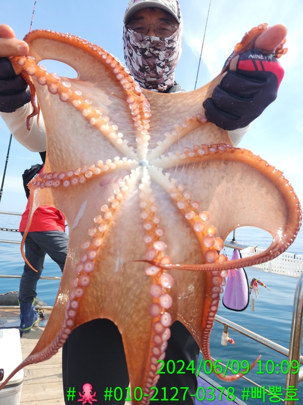 빠뽕호의 조황일지 이미지 - 8