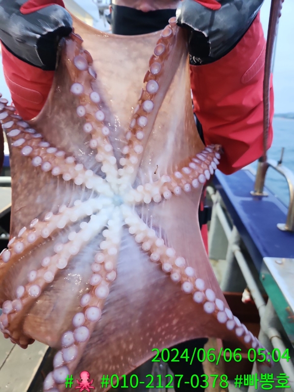 빠뽕호의 조황일지 이미지 - 4