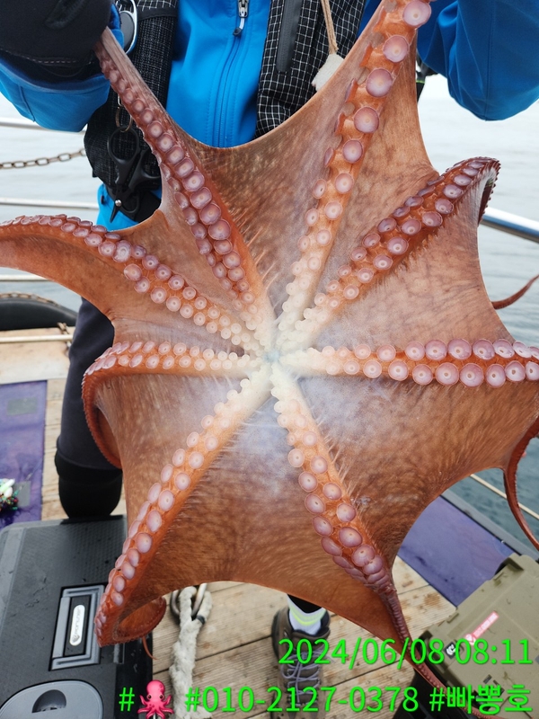 빠뽕호의 조황일지 이미지 - 4