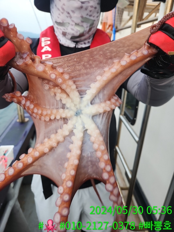 빠뽕호의 조황일지 이미지 - 12