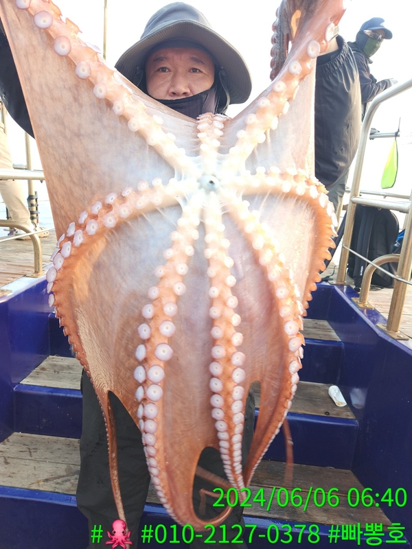 빠뽕호의 조황일지 이미지 - 17