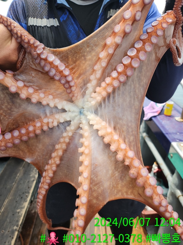 빠뽕호의 조황일지 이미지 - 2