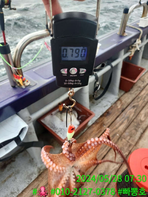 빠뽕호의 조황일지 이미지 - 5