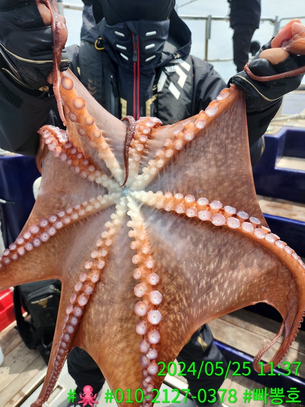 빠뽕호의 조황일지 이미지 - 2