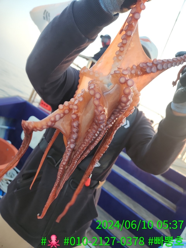 빠뽕호의 조황일지 이미지 - 3