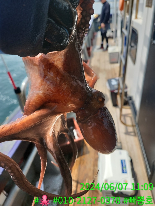 빠뽕호의 조황일지 이미지 - 4