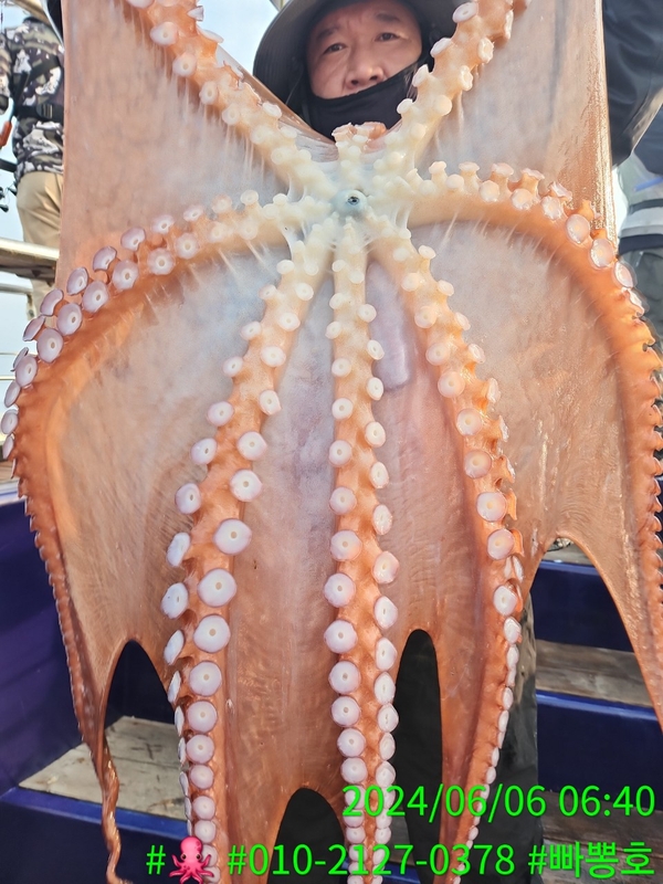 빠뽕호의 조황일지 이미지 - 0