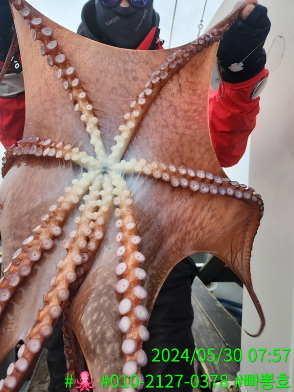 빠뽕호의 조황일지 이미지 - 6