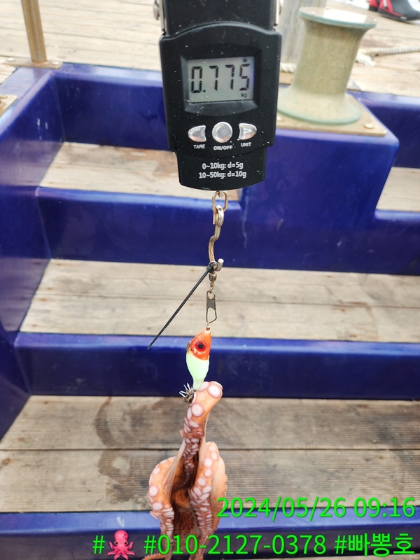 빠뽕호의 조황일지 이미지 - 15