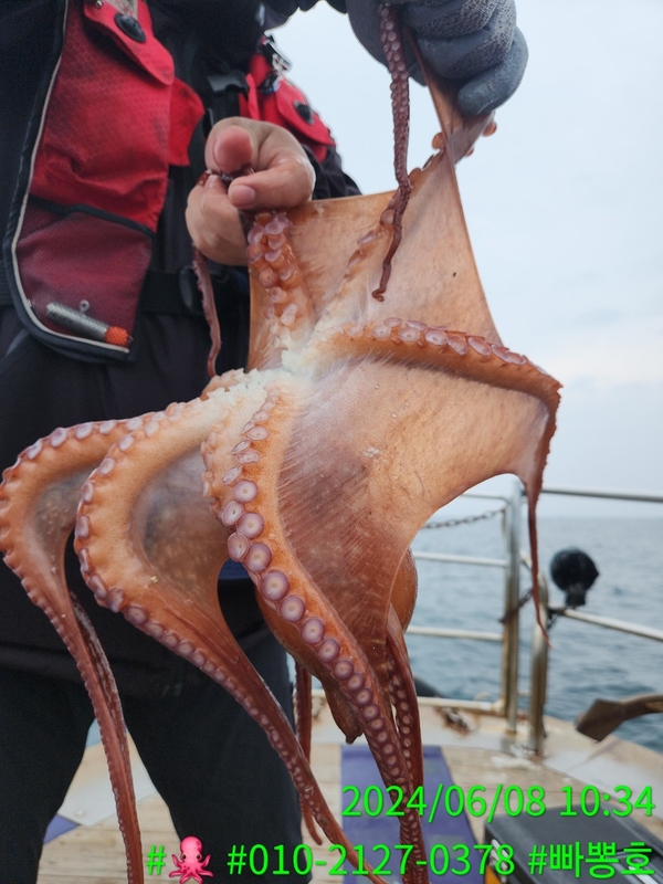 빠뽕호의 조황일지 이미지 - 11