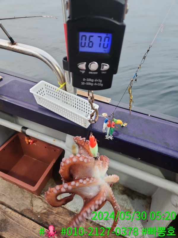 빠뽕호의 조황일지 이미지 - 14