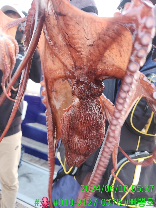 빠뽕호의 조황일지 이미지 - 4