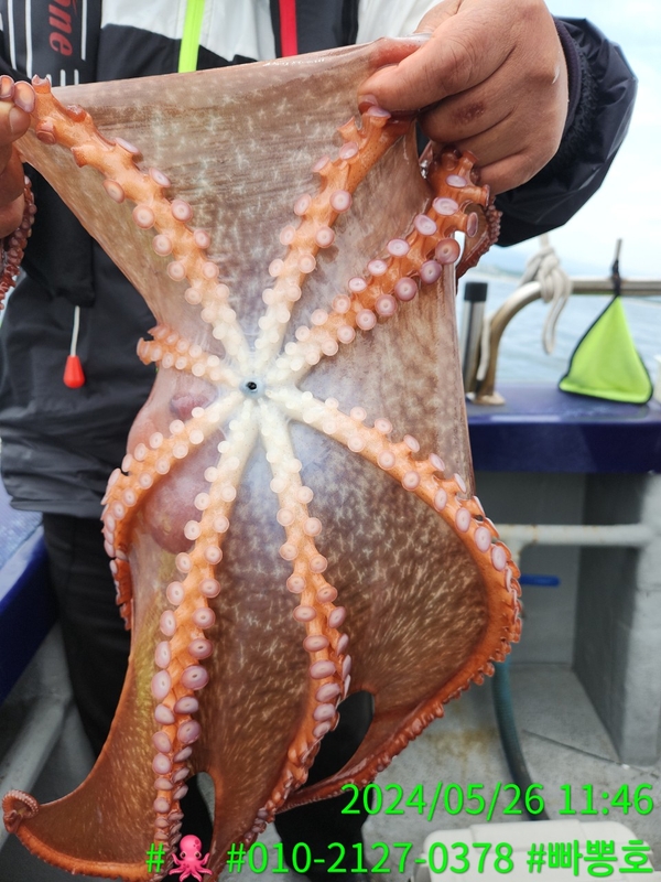 빠뽕호의 조황일지 이미지 - 16