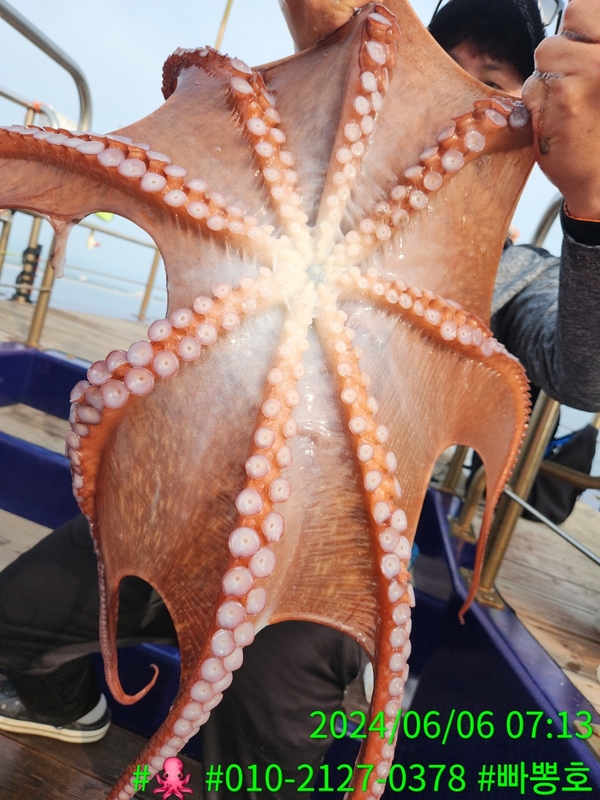 빠뽕호의 조황일지 이미지 - 3