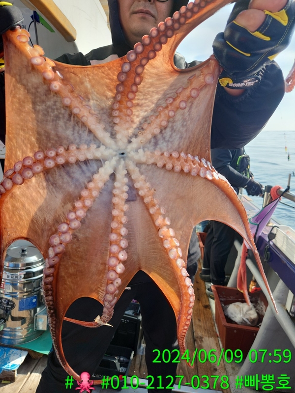 빠뽕호의 조황일지 이미지 - 12