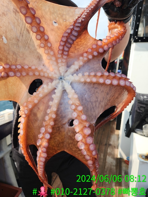 빠뽕호의 조황일지 이미지 - 8