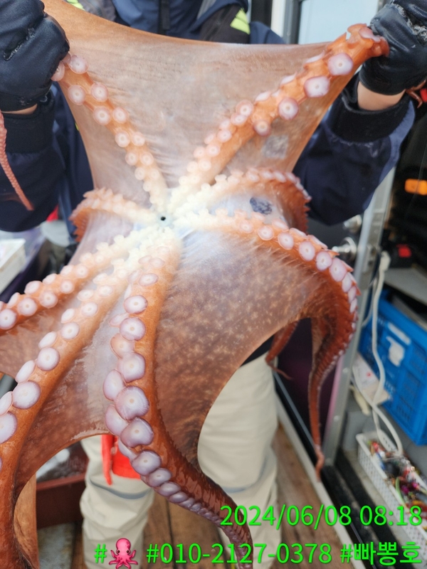 빠뽕호의 조황일지 이미지 - 19