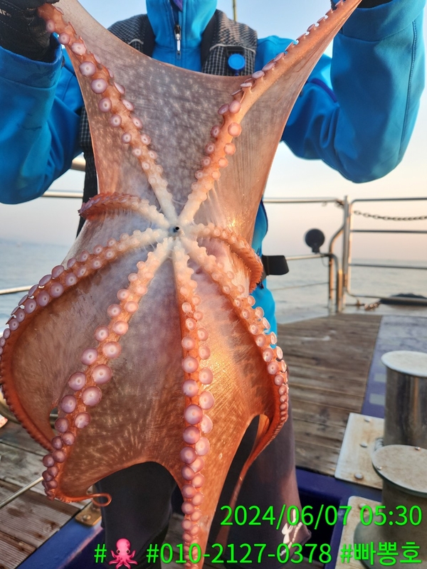 빠뽕호의 조황일지 이미지 - 12