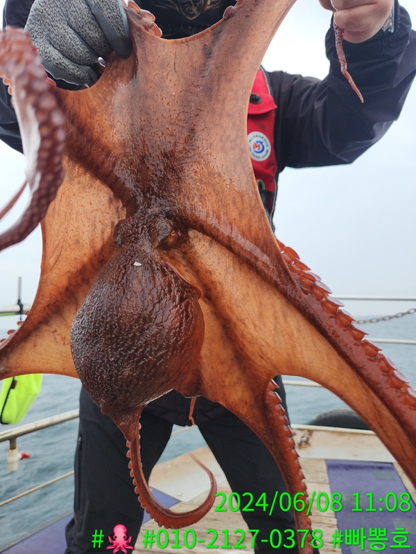 빠뽕호의 조황일지 이미지 - 6