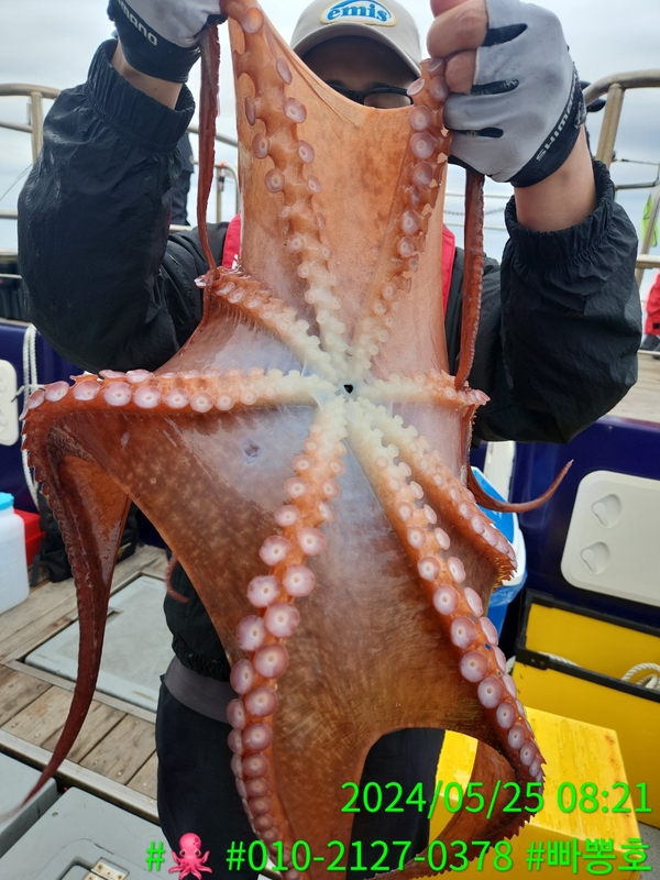 빠뽕호의 조황일지 이미지 - 4