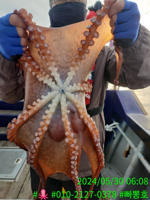 빠뽕호의 조황일지 이미지 - 9