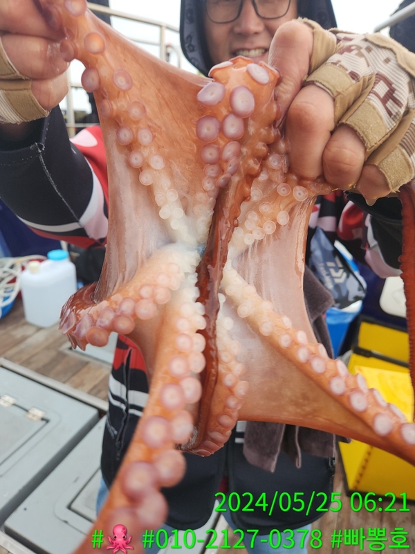 빠뽕호의 조황일지 이미지 - 10