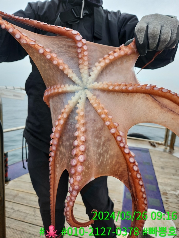 빠뽕호의 조황일지 이미지 - 11