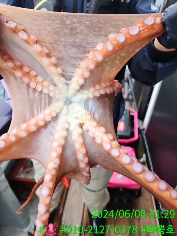 빠뽕호의 조황일지 이미지 - 2